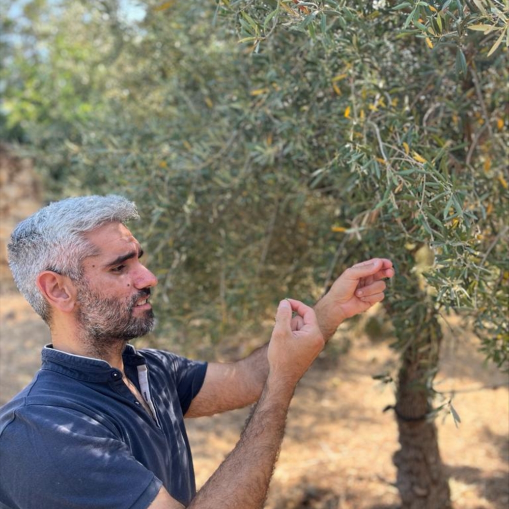 Demetrios E. Chondrakis