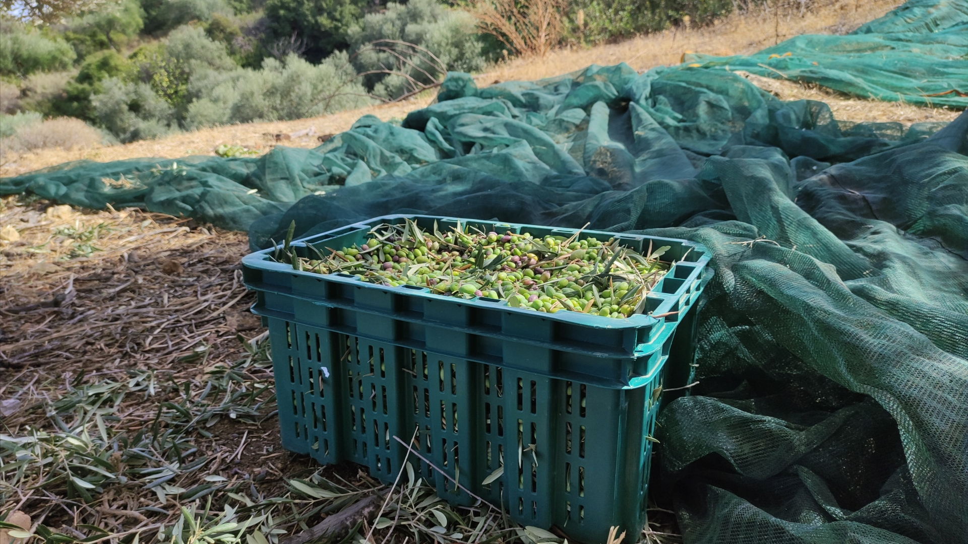 Faith, because we know the result will prove worthwhile of all our efforts