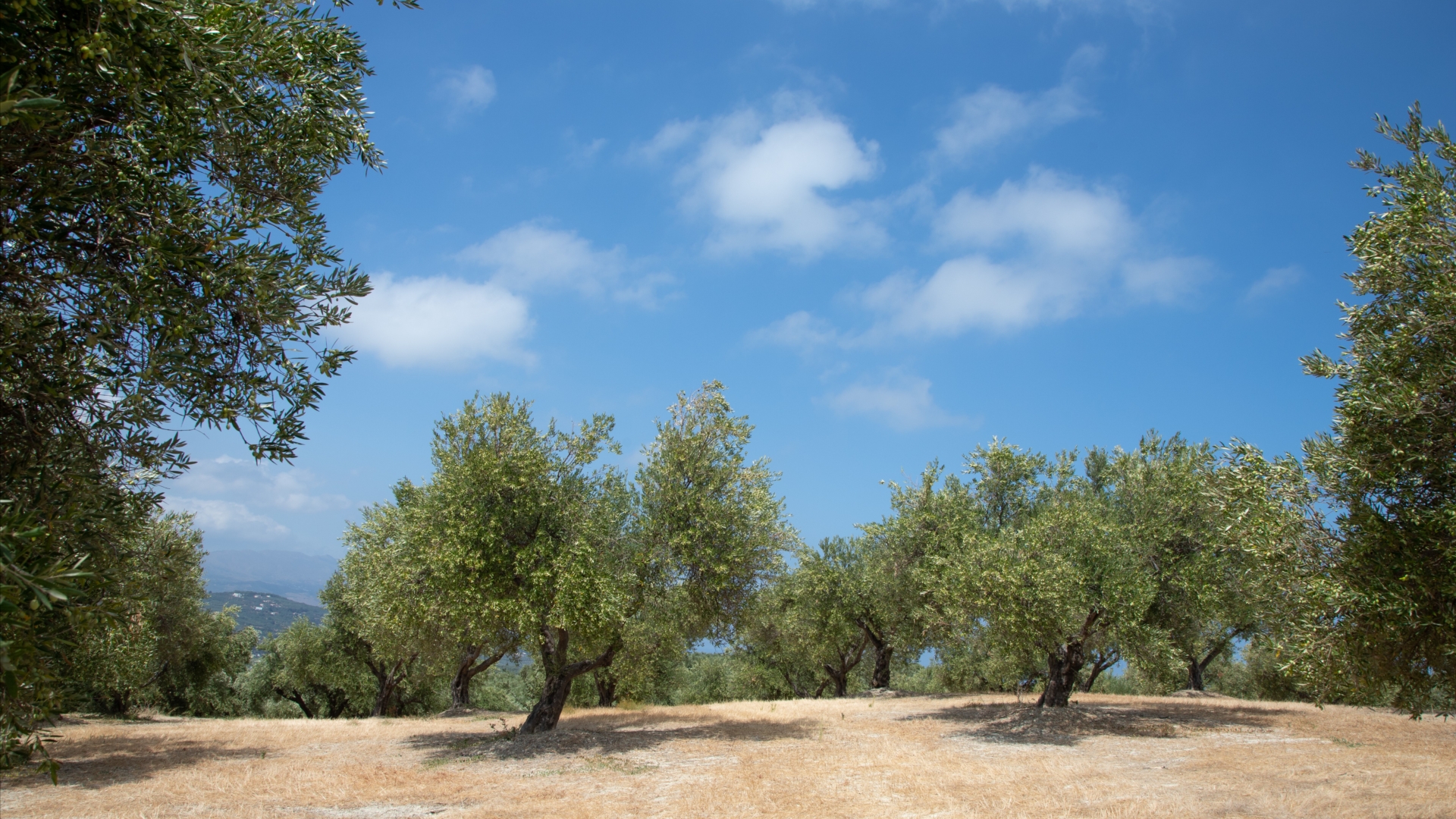 Calmness, because we feel perfectly aligned with our dreams