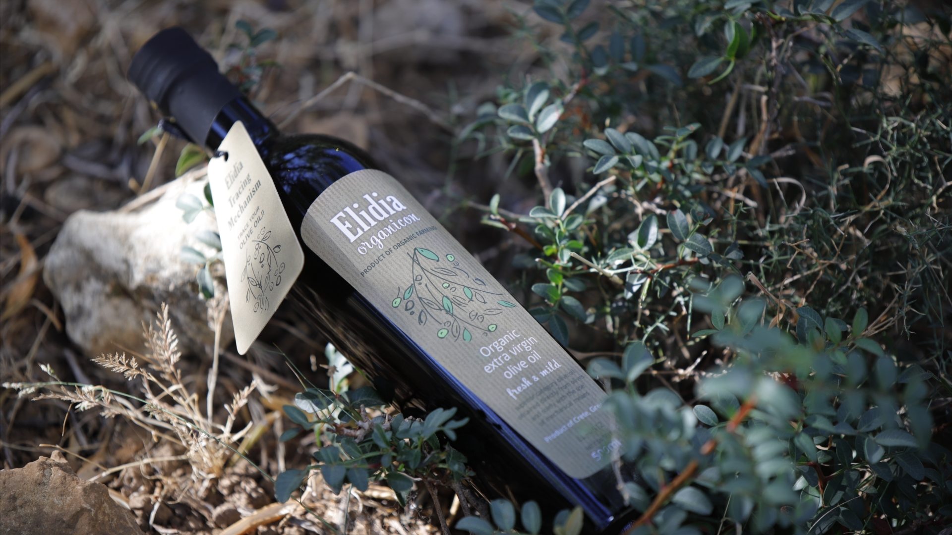 Feelings that take us back to our childhood, when we only cared for those simple, yet truly important things in life. 